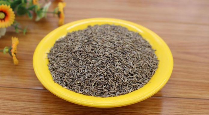 Božja biljka, jedina zapisana u Bibliji i Kur’anu: ‘Liječi sve bolesti osim smrti’ Božja biljka, jedina zapisana u Bibliji i Kur’anu: ‘Liječi sve bolesti osim smrti’ - featured image