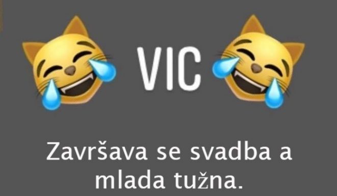 VIC DANA: Svekrva i snaja VIC DANA: Svekrva i snaja - featured image