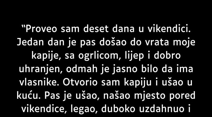 Proveo sam deset dana u vikendici… Proveo sam deset dana u vikendici… - featured image