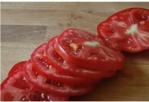 Evo kako čuvati paradajz CIJELE GODINE. Jest ću ga svježeg čak i zimi! Evo kako čuvati paradajz CIJELE GODINE. Jest ću ga svježeg čak i zimi! - featured image