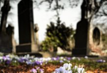 Evo šta znači ako sanjate pokojnika: To je znak upozorenja, pripazite se Evo šta znači ako sanjate pokojnika: To je znak upozorenja, pripazite se - featured image