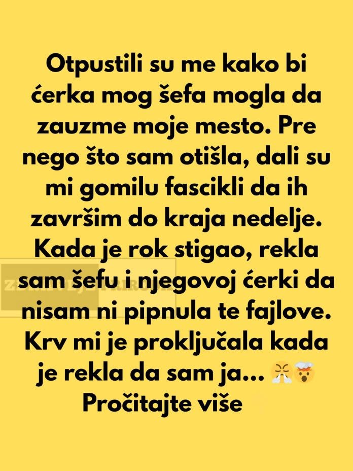 Nepravedno sam dobila otkaz — a na kraju se ispostavilo da je to bila moja pobeda - featured image Nepravedno sam dobila otkaz — a na kraju se ispostavilo da je to bila moja pobeda - featured image